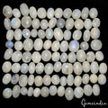 Moonstone Lot, Cabochon, Untreated, Blue — 91 Pieces, 11mm to 20mm, 1000 Ct