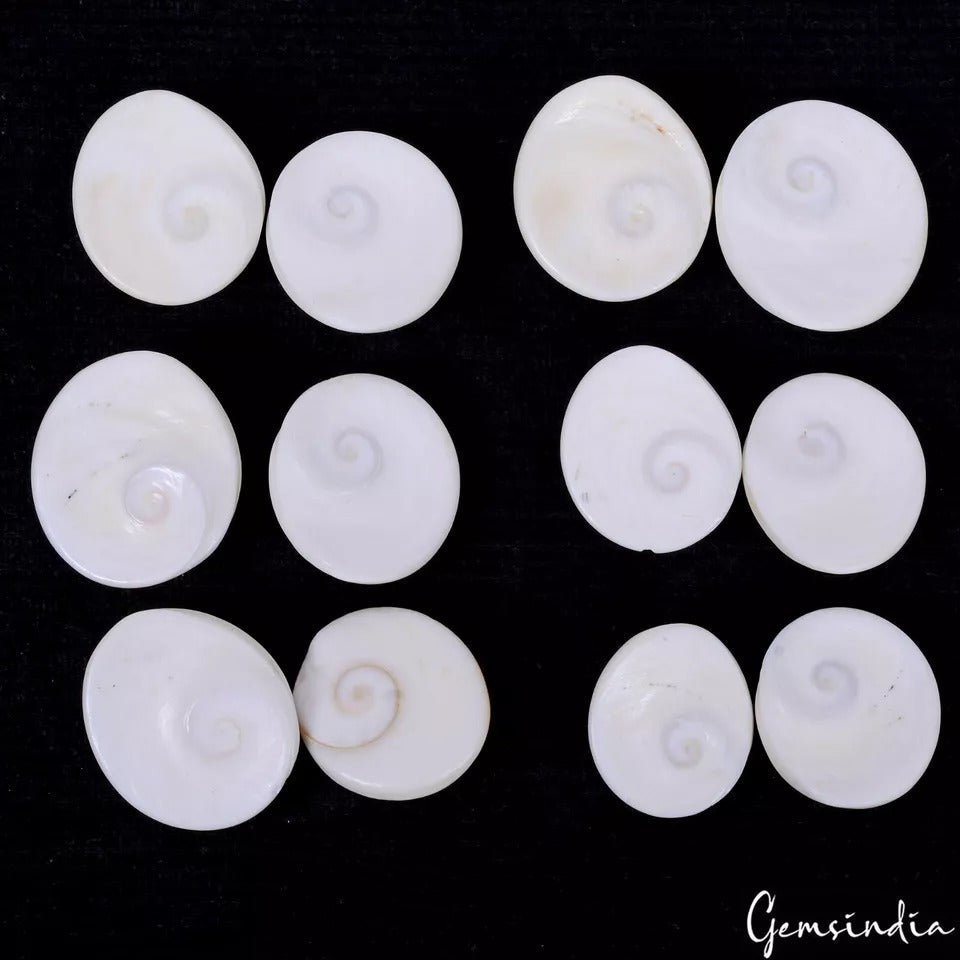 300 Ct/12 Pcs Natural Untreated Gomti Chakra Fancy Cab Loose Gem Lot For Jewelry