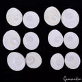 300 Ct/12 Pcs Natural Untreated Gomti Chakra Fancy Cab Loose Gem Lot For Jewelry