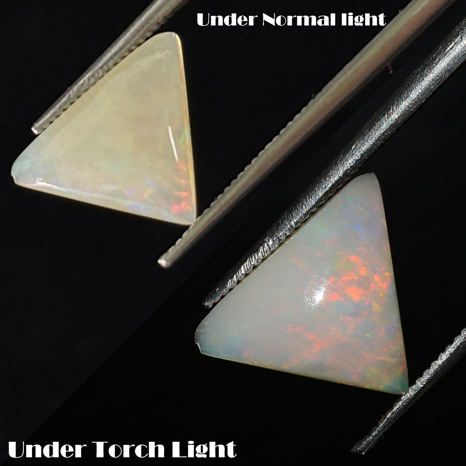 2.00 Ct Natural Ethiopian Welo Opal Trillion Cabochon Multi Fire Loose Gemstone