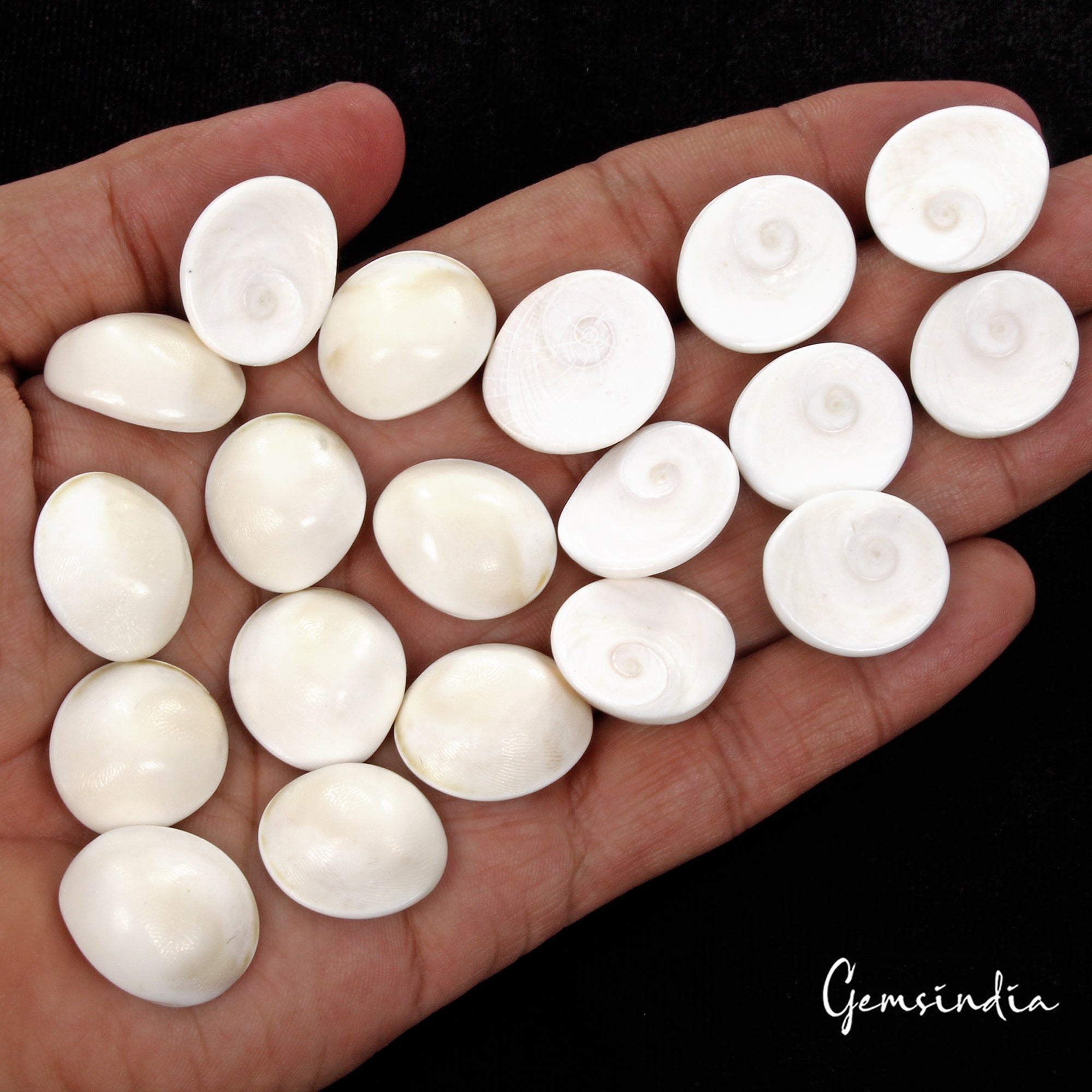 330 Cts/19 Pcs Natural Untreated Gomti Chakra Round Cab Loose Gems For Jewelry
