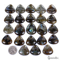1020 Ct Natural Untreated Multi Shine Labradorite Trillion Cab Loose Gems lot