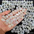 Moonstone Lot, Cabochon — 153 Pieces, 13mm to 26mm, 1600 Ct, Madagascar