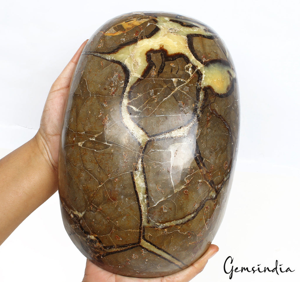 5.6 Kilo Huge Rare Natural Septarian Nodule Tri Color Dragon Oval Cab Gemstone