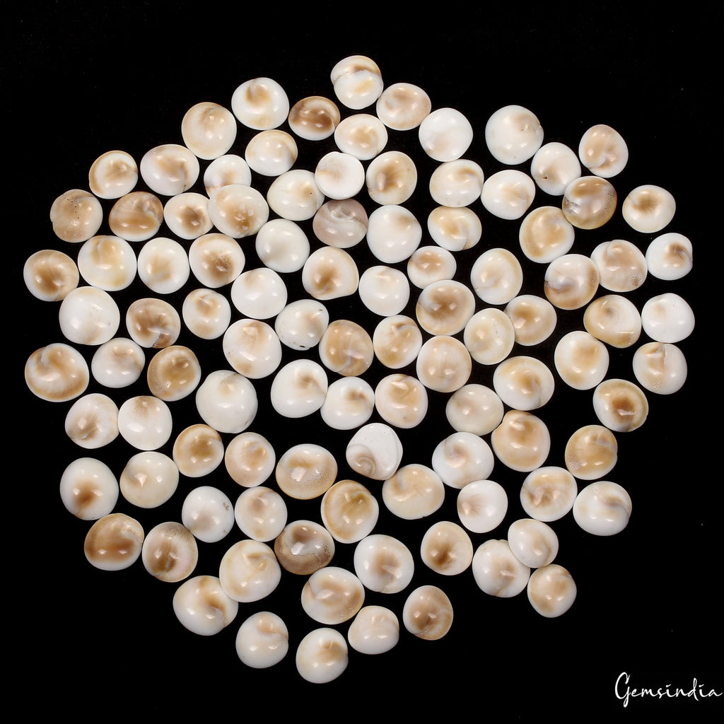 300 Ct/100 Pcs Natural Gomti Chakra Shiva Eye Shell Cab Loose Wholesale Gems Lot