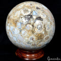 17.7 Kg Natural Untreated Bi Color Ocean Jasper Huge Gem 9" Crystal Sphere/Ball