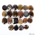 Sapphire Lot, Loose Gemstone, Untreated, Brown — 22 Pieces, 10mm to 15mm, 225.00 Ct, Madagascar