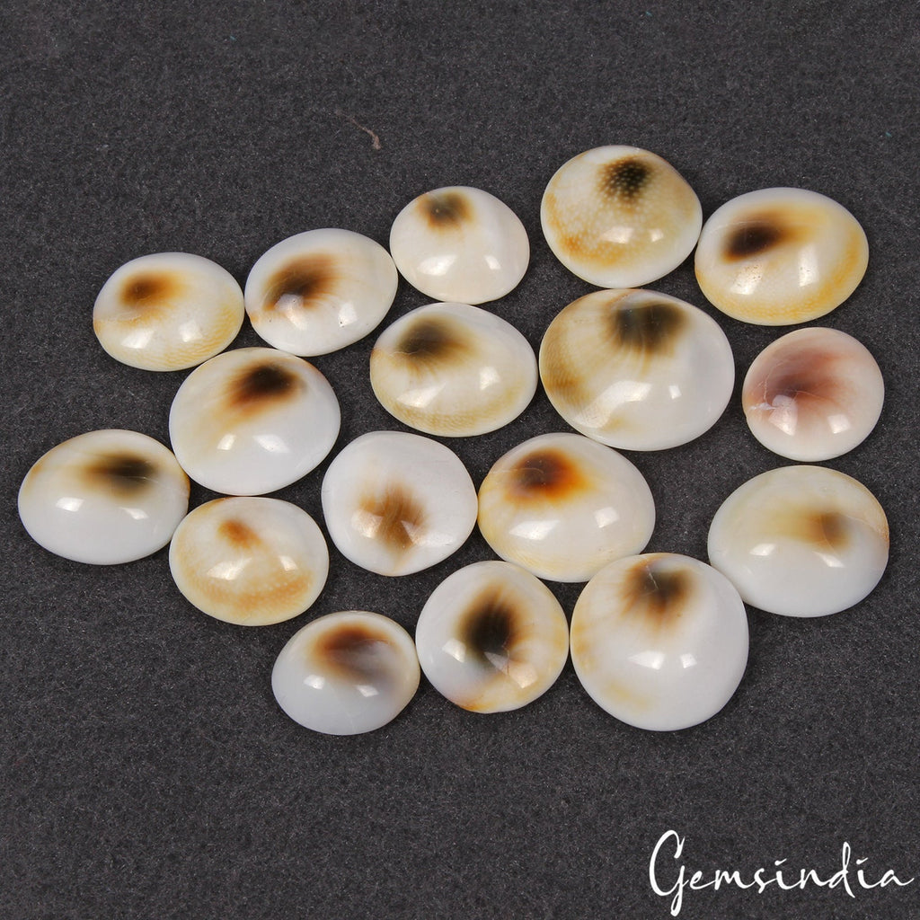 17 Pcs Natural Gomti Chakra 13mm-19mm Exclusive Top Quality Untreated Gemstones