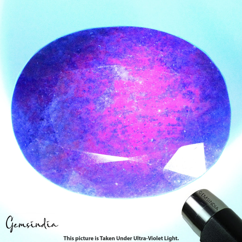 Huge 2440Ct Natural Untreated Bi-Color Ruby Kyanite Oval Faceted Museum Size Gem