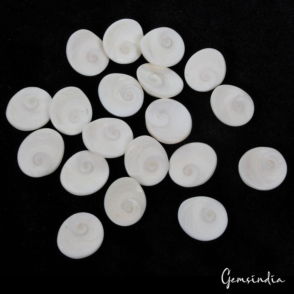 330 Cts/19 Pcs Natural Untreated Gomti Chakra Round Cab Loose Gems For Jewelry