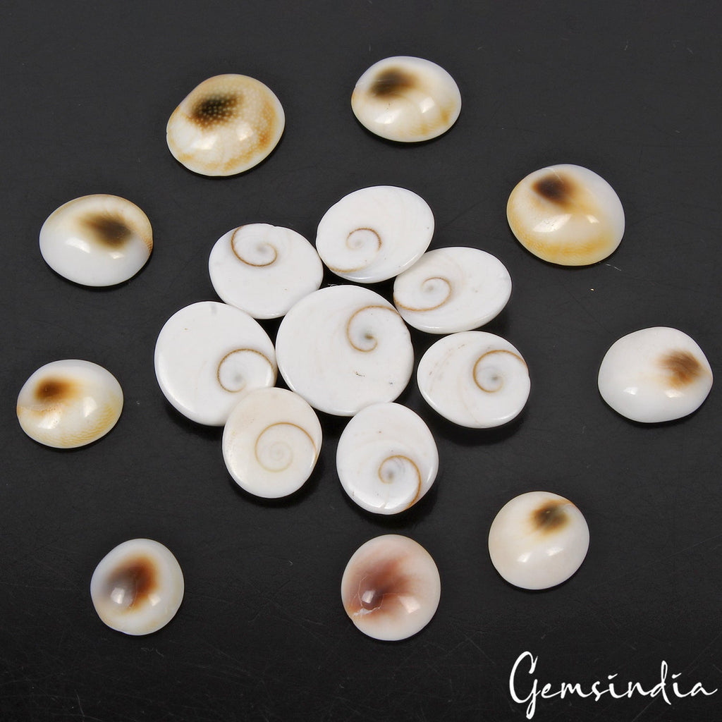 17 Pcs Natural Gomti Chakra 13mm-19mm Exclusive Top Quality Untreated Gemstones