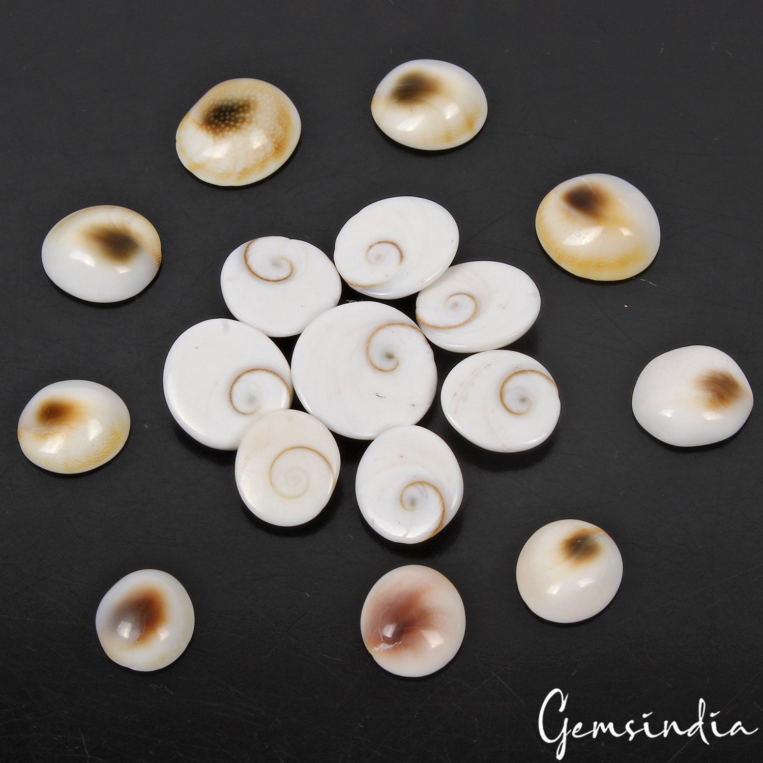 17 Pcs Natural Gomti Chakra 13mm-19mm Exclusive Top Quality Untreated Gemstones