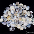 100 Pcs Natural Dendrite Opal Mix Shape Cabochon Loose Gemstones 3000 Ct/19-39mm