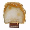 610 Cts Natural Golden Yellow Onyx Slice Agate Stalactite Random Shape Gem-3.7"