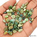 Untreated 127.40 Ct Natural Green Apple Australian Chrysoprase 69 Pcs Gemstone