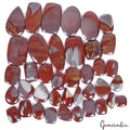 1000 Ct/39 Pcs 100% Natural Noreena Jasper Mix Cabochon Bi-color Loose Gemstones