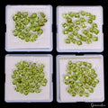80 Ct/135 Pcs Natural Untreated Green Peridot Assorted Cut 4Lot Gems For Jewelry