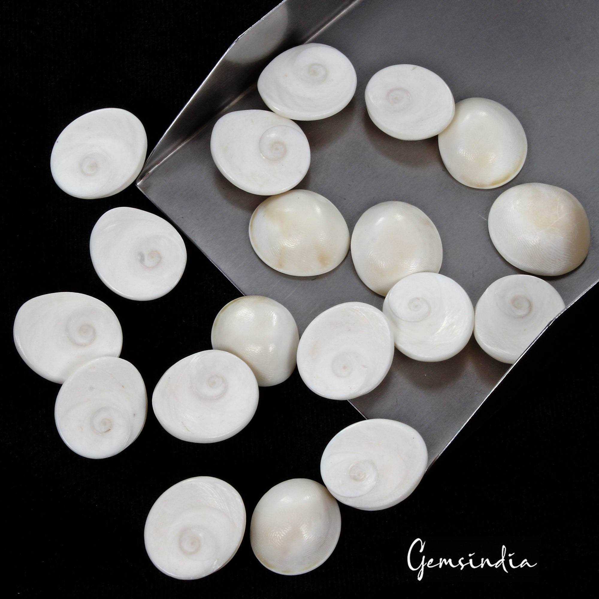 330 Cts/19 Pcs Natural Untreated Gomti Chakra Round Cab Loose Gems For Jewelry