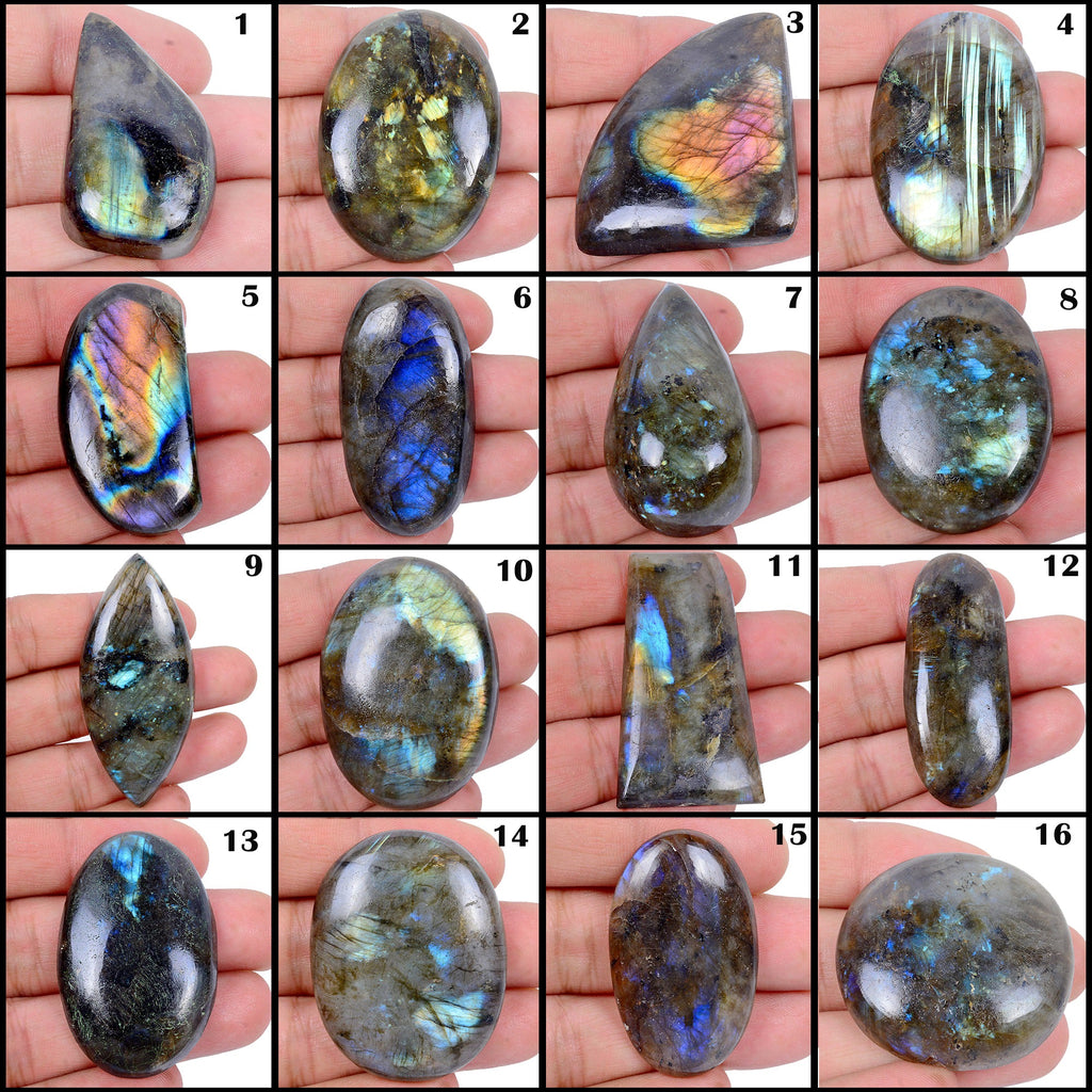 1780 Ct Natural Untreated Multi Shine Labradorite Mix Cab Loose Gems Lot 16 Pcs