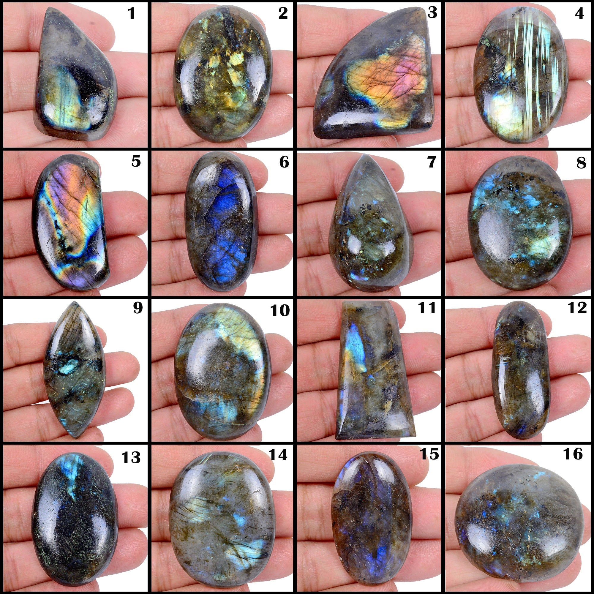 1780 Ct Natural Untreated Multi Shine Labradorite Mix Cab Loose Gems Lot 16 Pcs