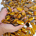 10000 Ct/190 Pcs Natural Mix Tiger Eye Top Quality Cabochon Gems Wholesale Lot