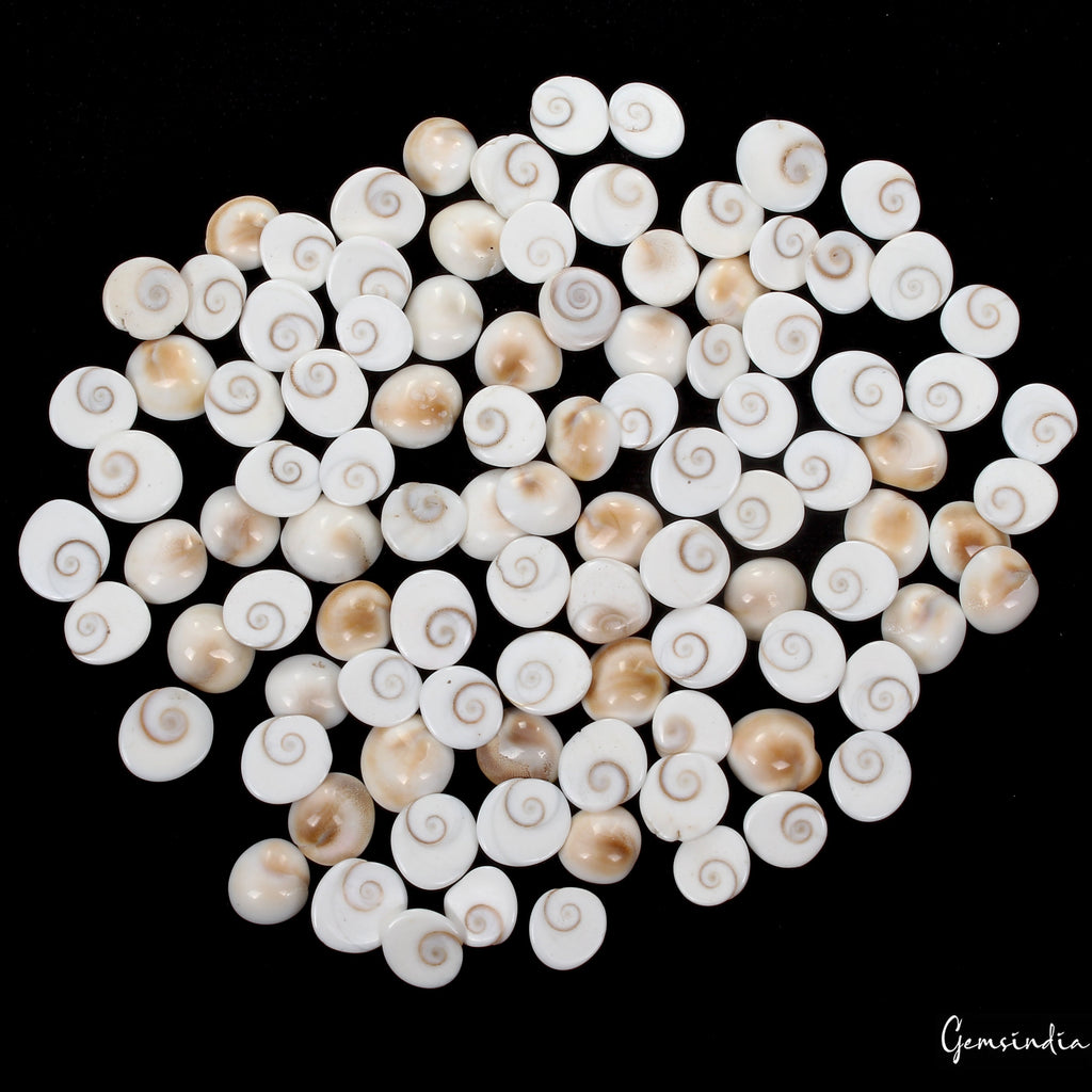300 Ct/100 Pcs Natural Gomti Chakra Shiva Eye Shell Cab Loose Wholesale Gems Lot