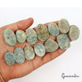 730 Cts/13 Pcs Natural Untreated Beryl Aquamarine Druzy Rough Mix Cut Gems Lot