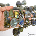 Labradorite Lot, Cabochon, Untreated — 30 Pieces, 24mm to 50mm, 1750 Ct