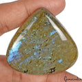 210.00 Ct Natural Blue Shine Labradorite Trillion Cab Loose Gemstone For Jewelry