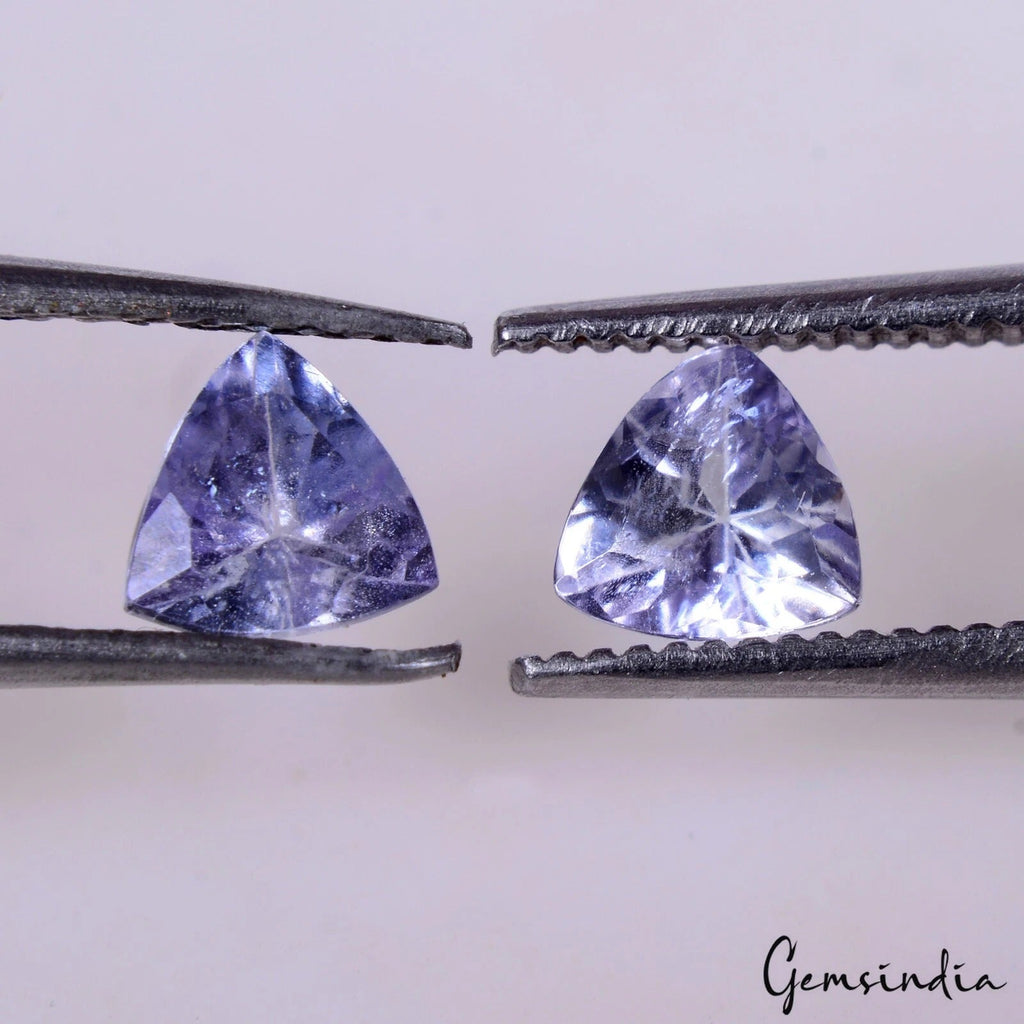0.80 Ct/ 2 Pcs Natural Blue Tanzanite 5mm Trillion Cut Rare Certified Gemstones