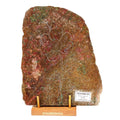 940gram Ruby Kyanite Rough Slab Floral Carved Untreated Crystal Display Specimen