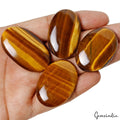 Tiger Eye Lot, Cabochon, Untreated — 4 Pieces, 39mm to 45mm, 237 Ct