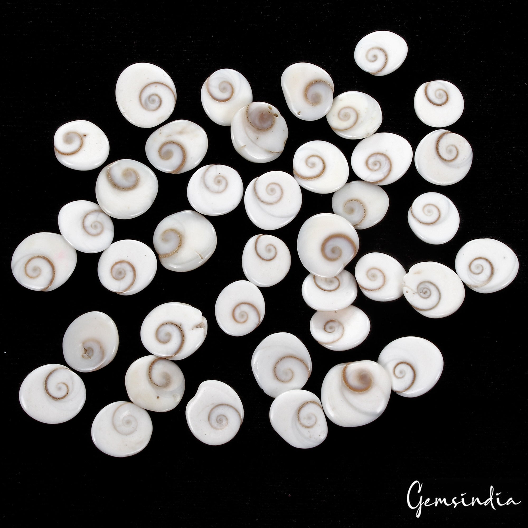 120 Cts/39 Pcs Natural Untreated Gomti Chakra Round Cab Loosb Loose Gems For Jew