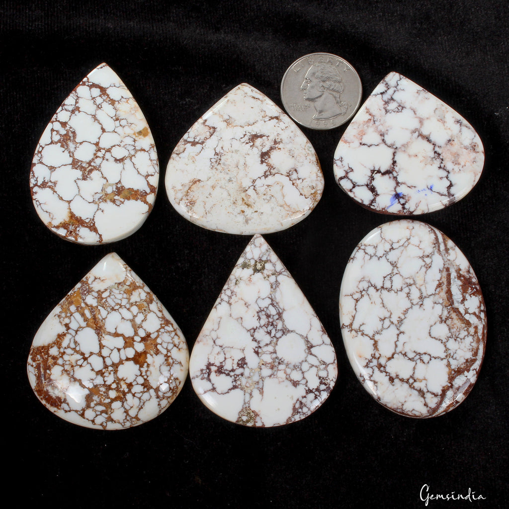 670 Ct Natural Untreated White Turquoise Mix Cabochon Loose Gemstone Lot 6 Pcs