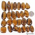 920 Cts/26 Pcs Natural Untreated Yellow Tiger Eye Mixed Cab Wholesale Loose Gems