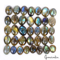 500 Ct Natural Labradorite Multi Shine Oval Cabochon Loose Untreated Gemstones