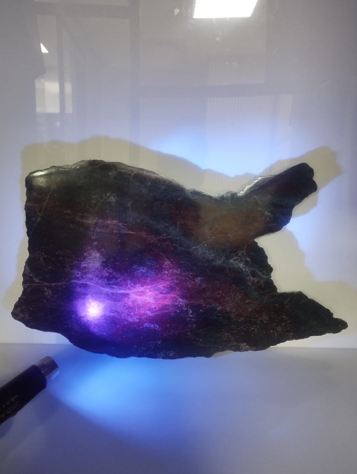Natural Ruby Kyanite 7.3 kg 18.5x11" Extra Large Polished Crystal Slab Specimen