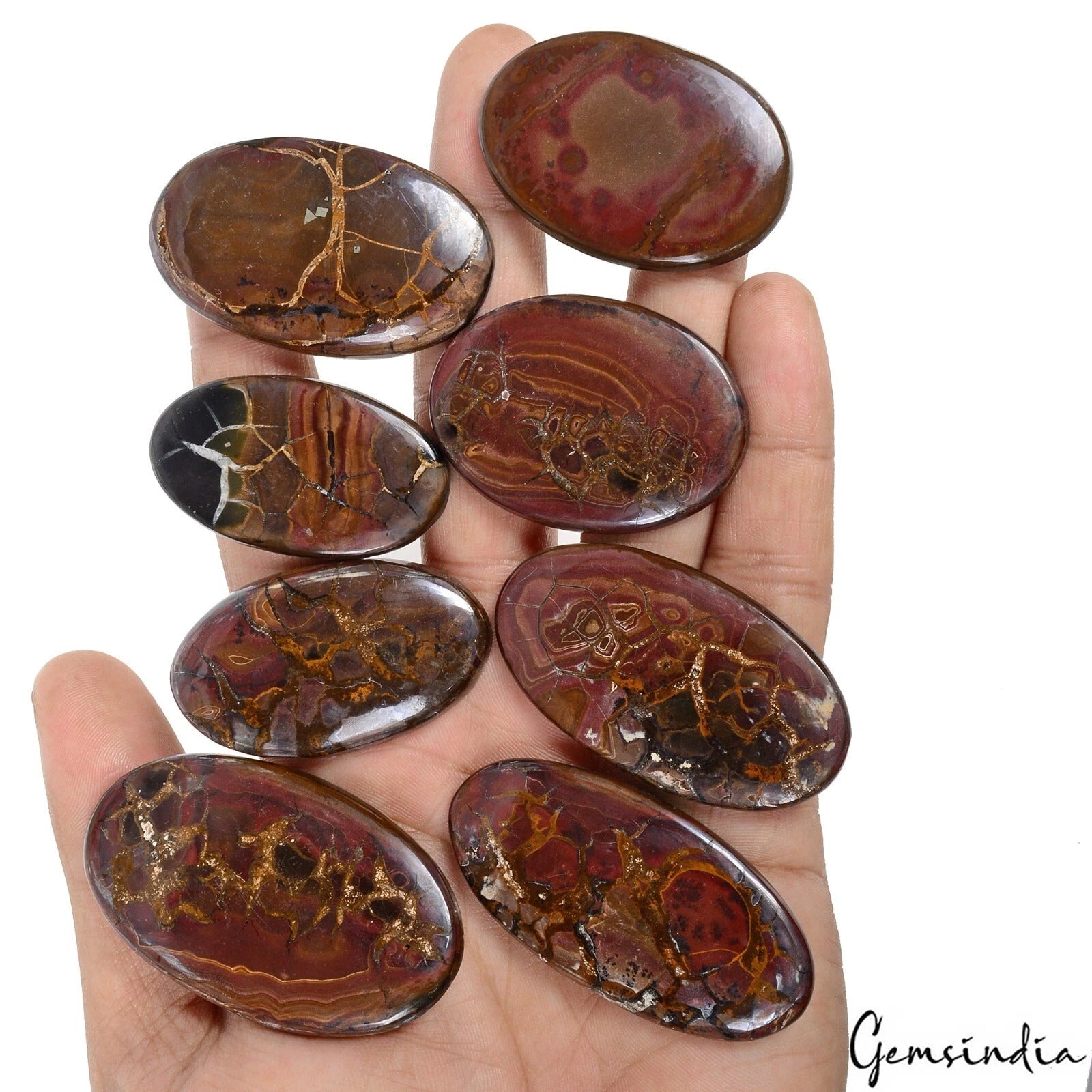 Septarian Lot, Cabochon, Untreated, Brown — 8 Pieces, 43mm, 570 Ct, India