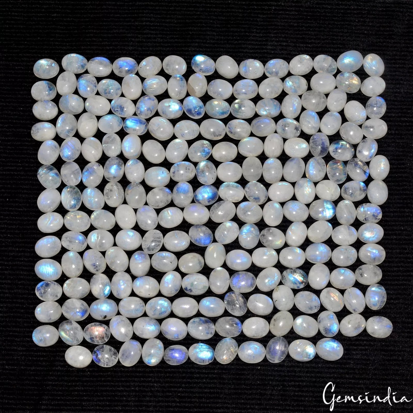 Rainbow Moonstone Lot, Cabochon, Untreated — 206 Pieces, 9mm, 450 Ct