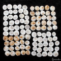 300 Ct/100 Pcs Natural Gomti Chakra Shiva Eye Shell Cab Loose Wholesale Gems Lot