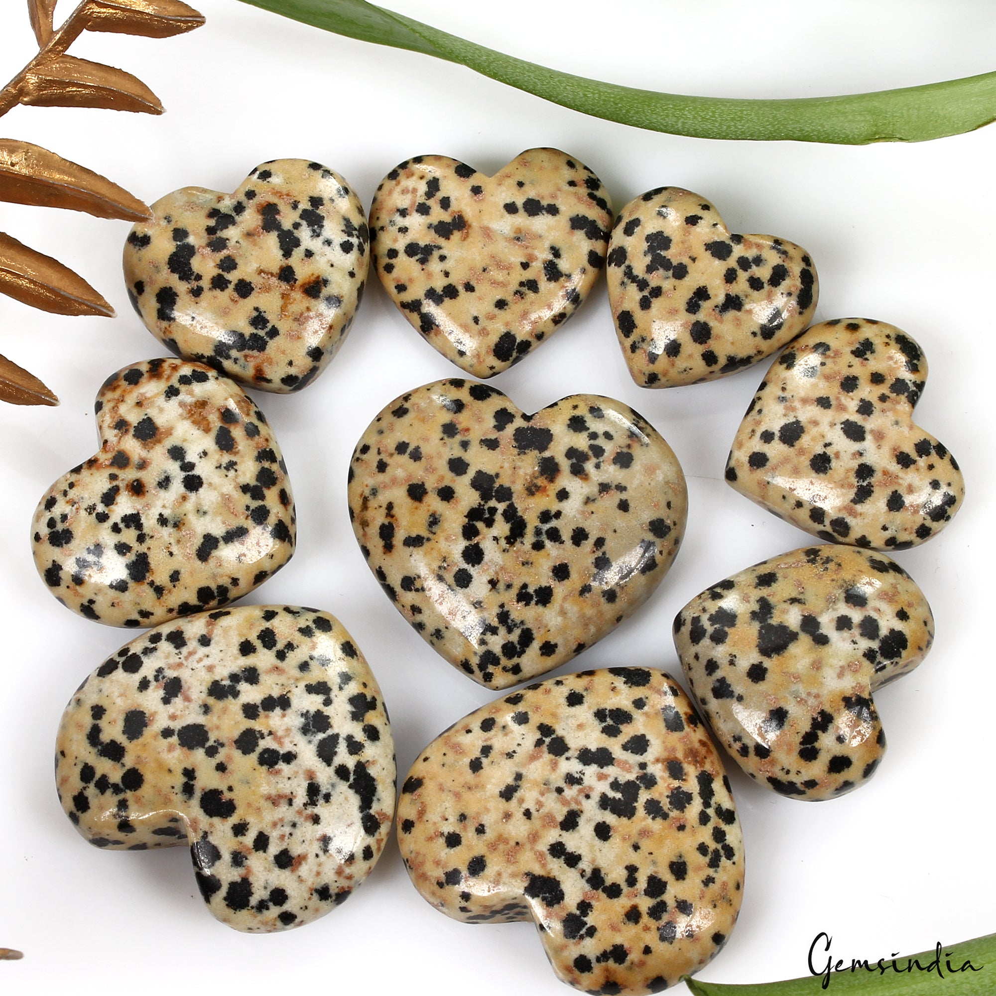 530 Ct Dalmatian Jasper Loose Ethical Gemstone Jewelry Making Heart Cabochon 9Pc