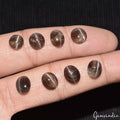 8 Pcs Natural Spectrolite Cats Eye 7-19mm Mix Cabochon Loose Gemstones ~17.20 Ct