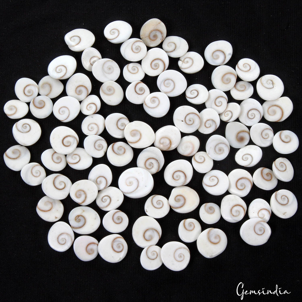 250.00 Ct Natural Untreated White Gomti Chakra shiva Eye Shell Loose Gems Lot
