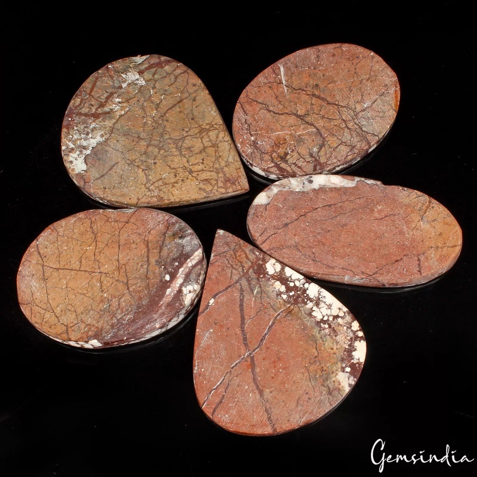 800Ct/5 Pcs Natural Untreated Nevada White Buffalo Turquoise Mix Cab Loose Gems
