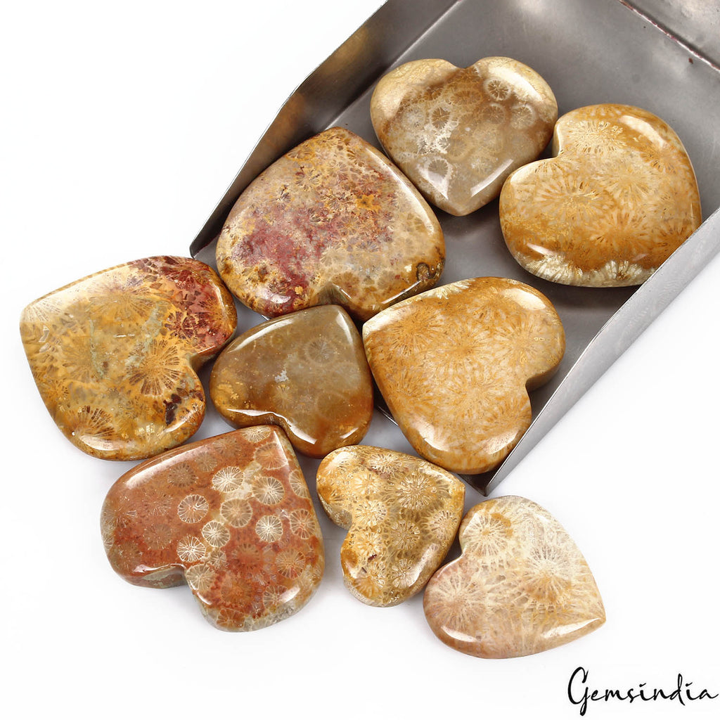 Coral Lot, Cabochon, Untreated — 9 Pieces, 24mm to 38mm, 750 Ct, Madagascar