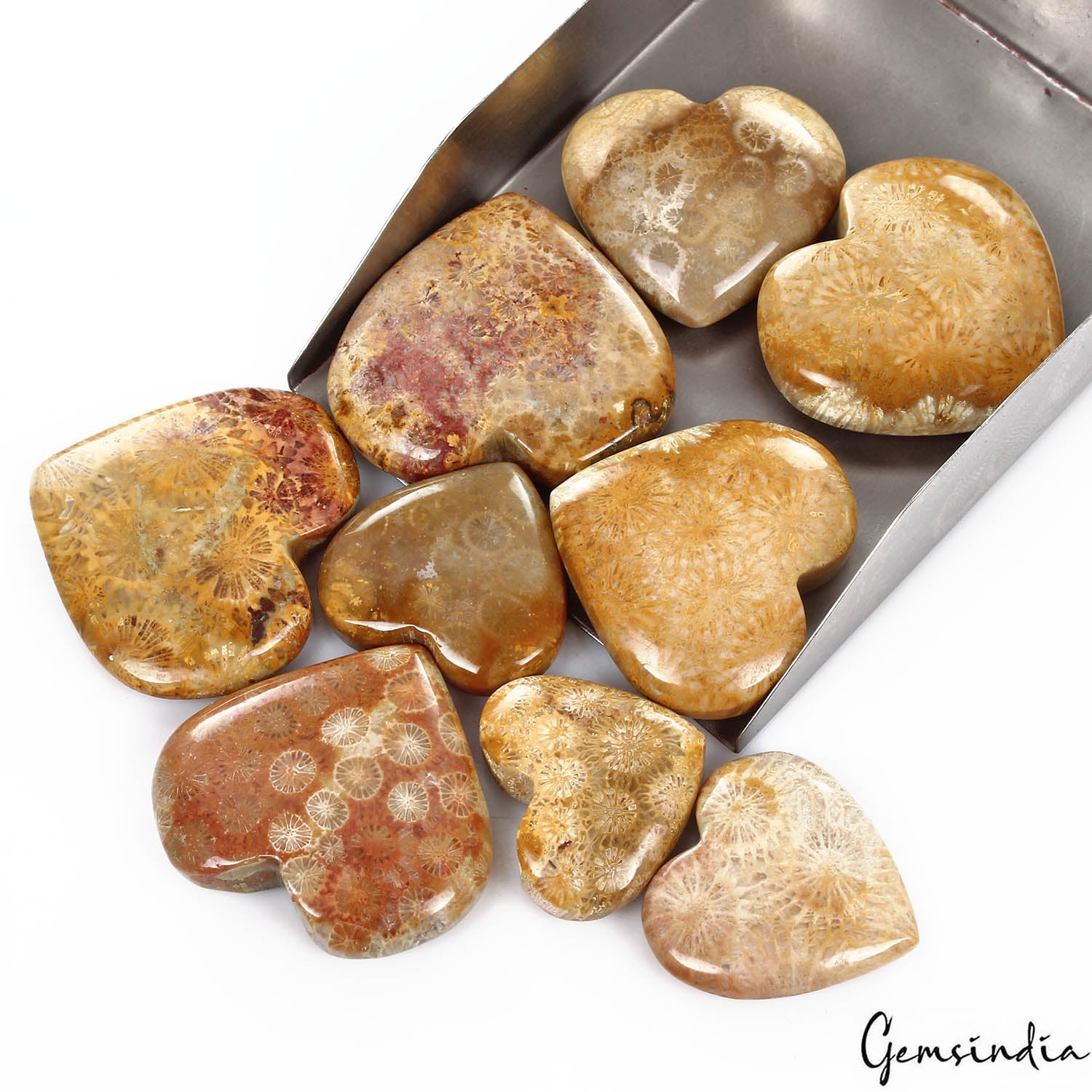 Coral Lot, Cabochon, Untreated — 9 Pieces, 24mm to 38mm, 750 Ct, Madagascar