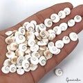 250.00 Ct Natural Untreated White Gomti Chakra shiva Eye Shell Loose Gems Lot