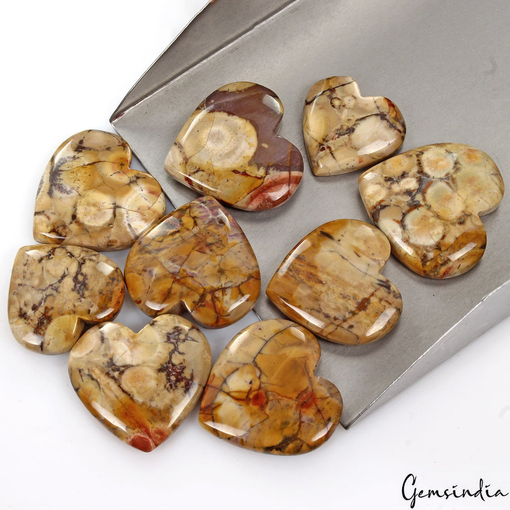 340 Ct/9 Pcs Natural Untreated Rhyolite Jasper Bird's Eye Heart Shape Gemstones