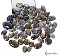 1600 Cts/62 Pcs Natural Multi Color Shine Labradorite Mix Cab Wholesale Gems Lot