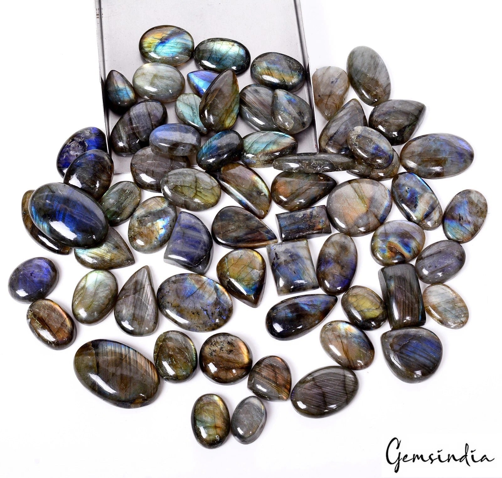 1600 Cts/62 Pcs Natural Multi Color Shine Labradorite Mix Cab Wholesale Gems Lot